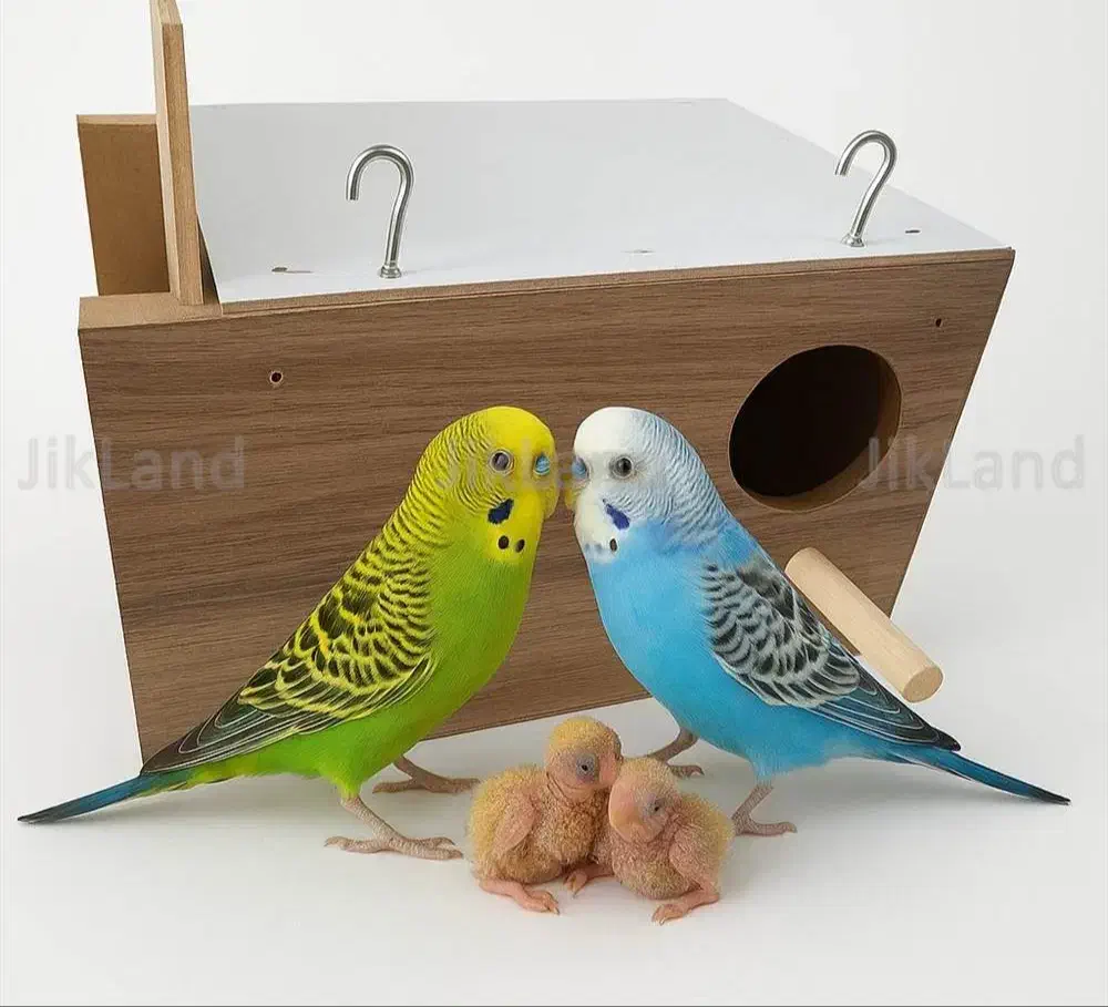 لانه عروس|لوازم جانبی حیوانات|سوسنگرد, |دیوار