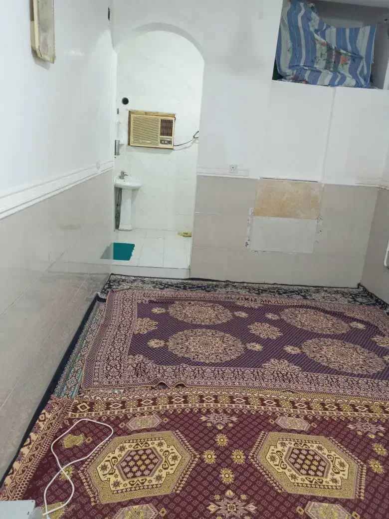 اجاره منزل|اجارهٔ کوتاه‌مدت آپارتمان و سوئیت|بندر گناوه, |دیوار