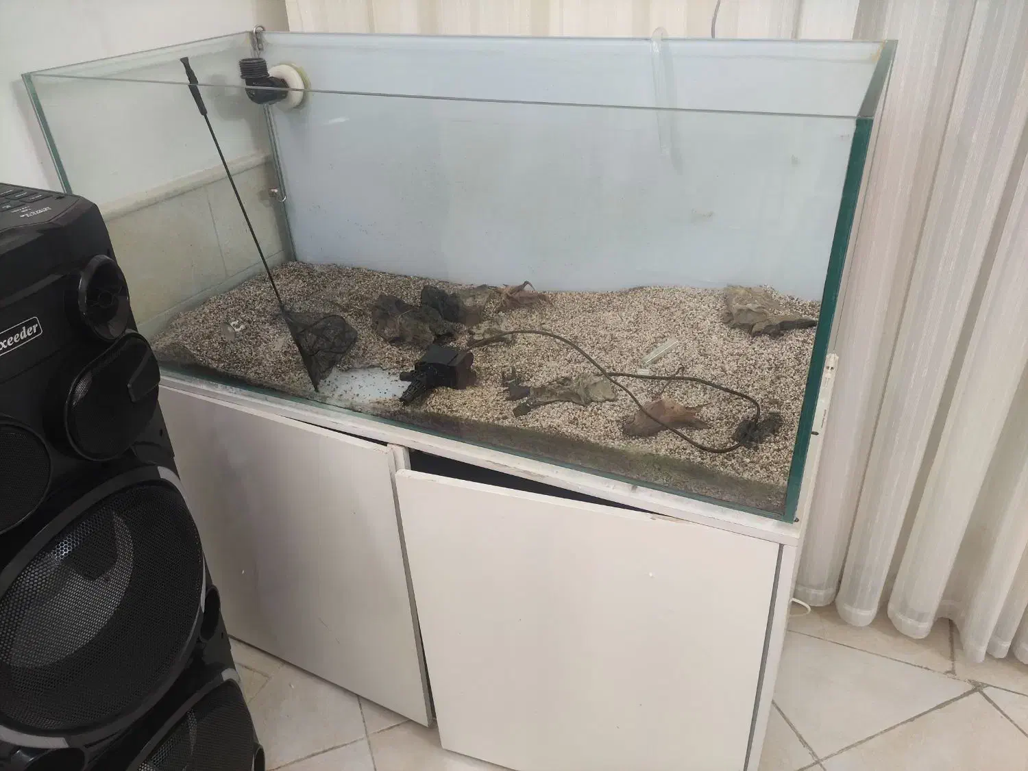 آکواریوم ریملس|ماهی|قم, باغ کرباسی|دیوار