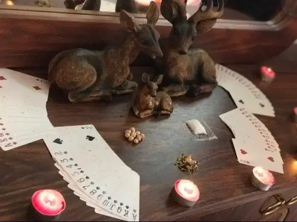 انواع فال|خدمات پذیرایی، مراسم|دورود, |دیوار