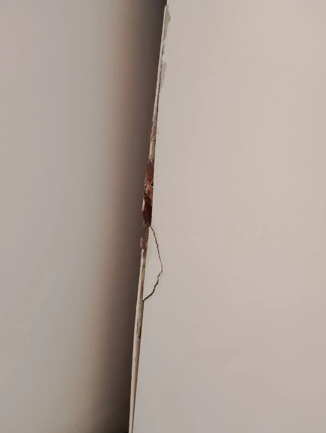 آینه دلاور و کمد|جاکفشی، کمد، دراور|خواف, |دیوار