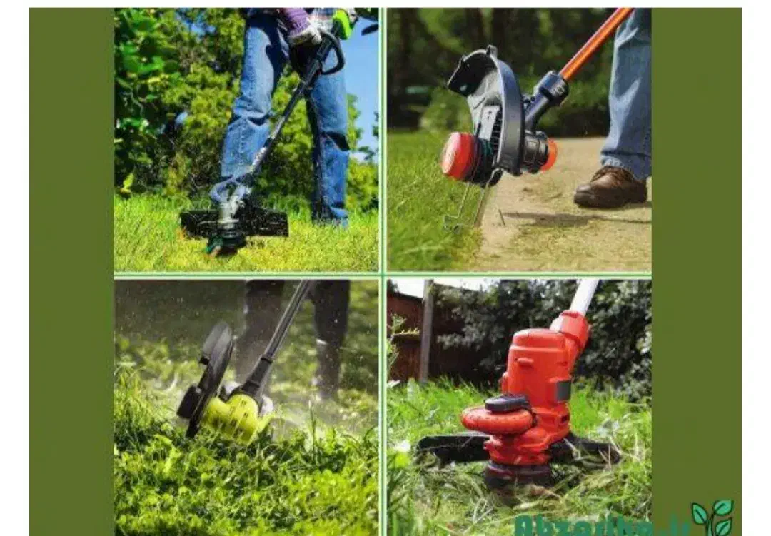 علف زن|خدمات باغبانی و درختکاری|طاهرگوراب, |دیوار