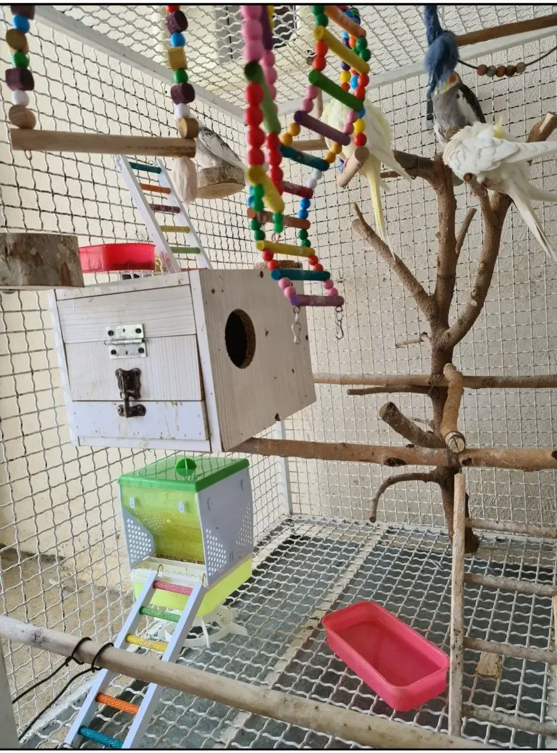 قفس پرنده|لوازم جانبی حیوانات|سرپل ذهاب, |دیوار