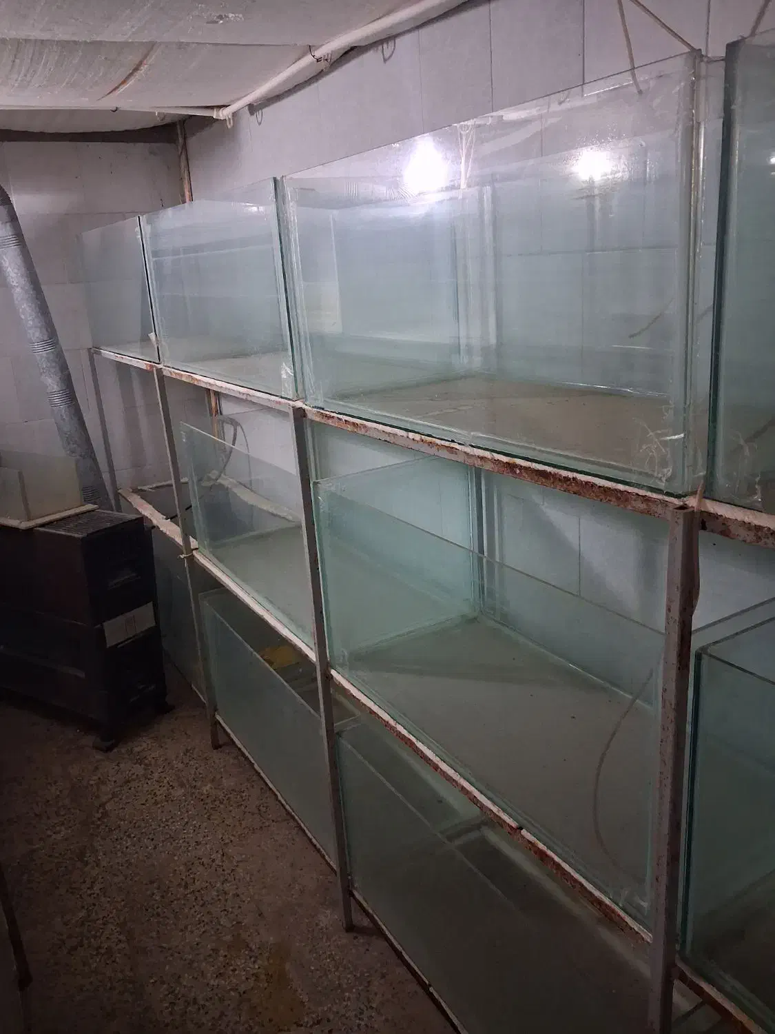 ۴۵ عدد اکواریوم پرورش ماهی زینتی|ماهی|ساوه, |دیوار