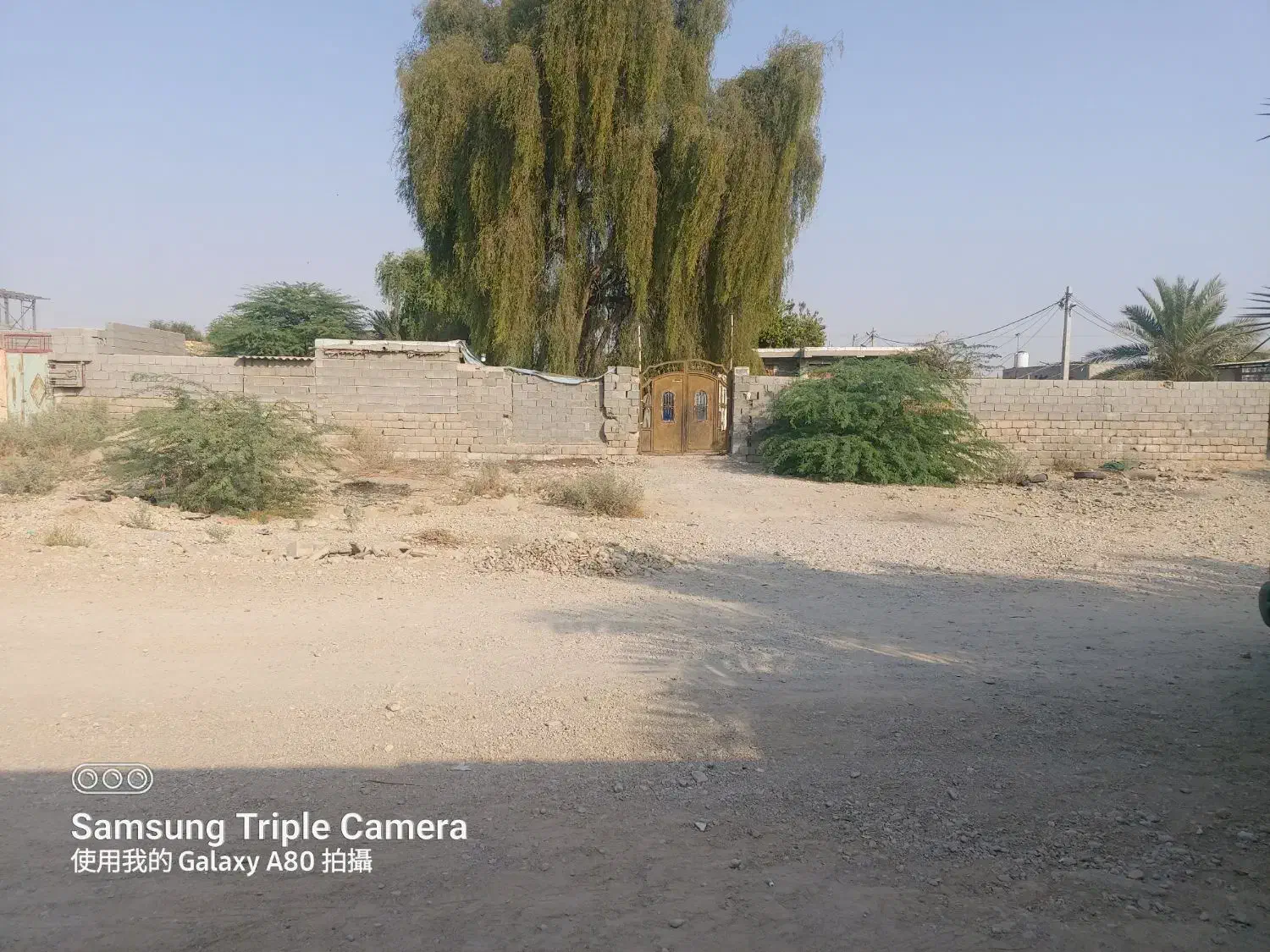 اجاره زمین ایسین|اجارهٔ دفتر صنعتی، کشاورزی، تجاری|بندرعباس, |دیوار