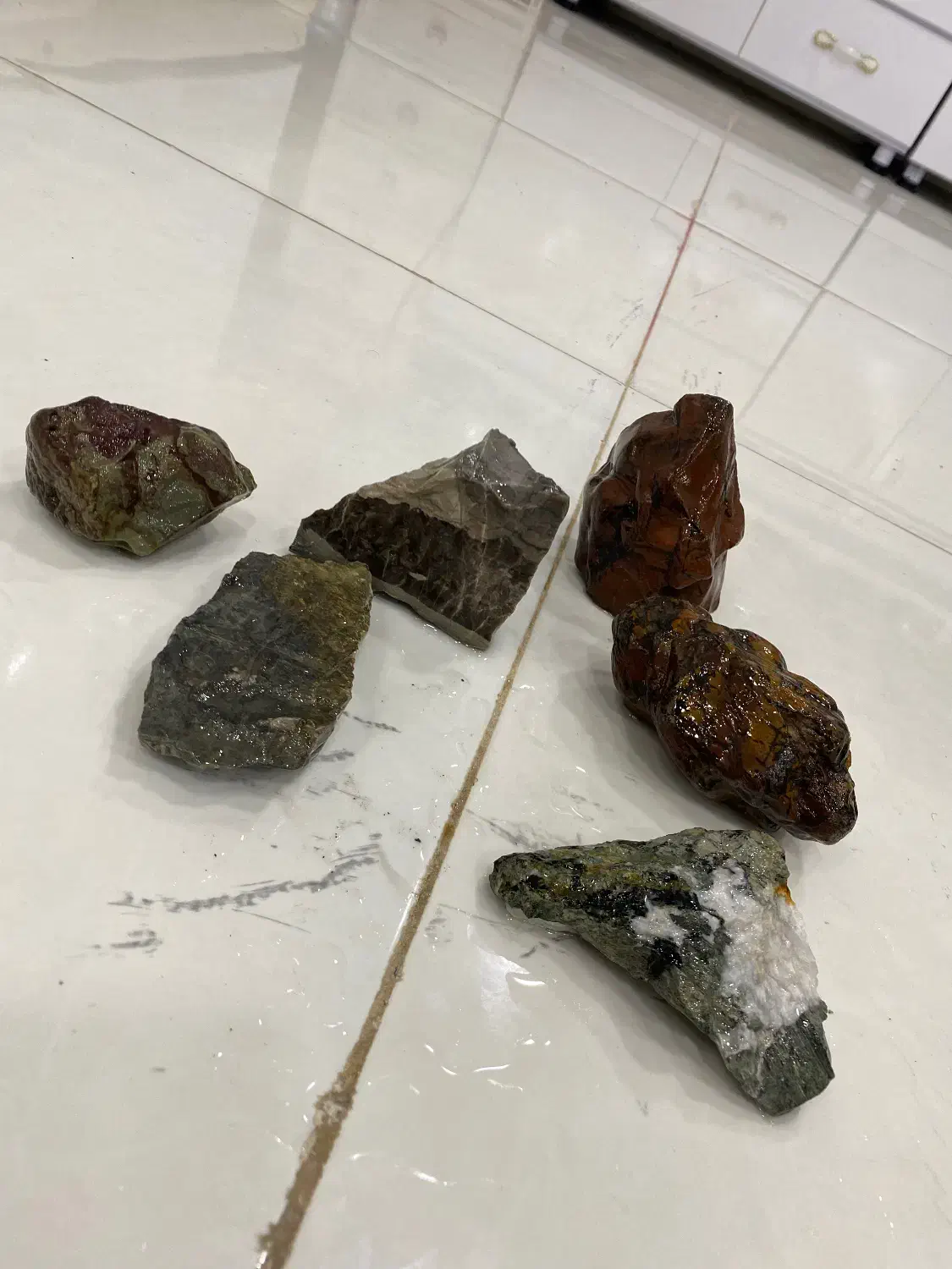 سنگ و شن آکواریوم ماهی|ماهی|مریوان, |دیوار