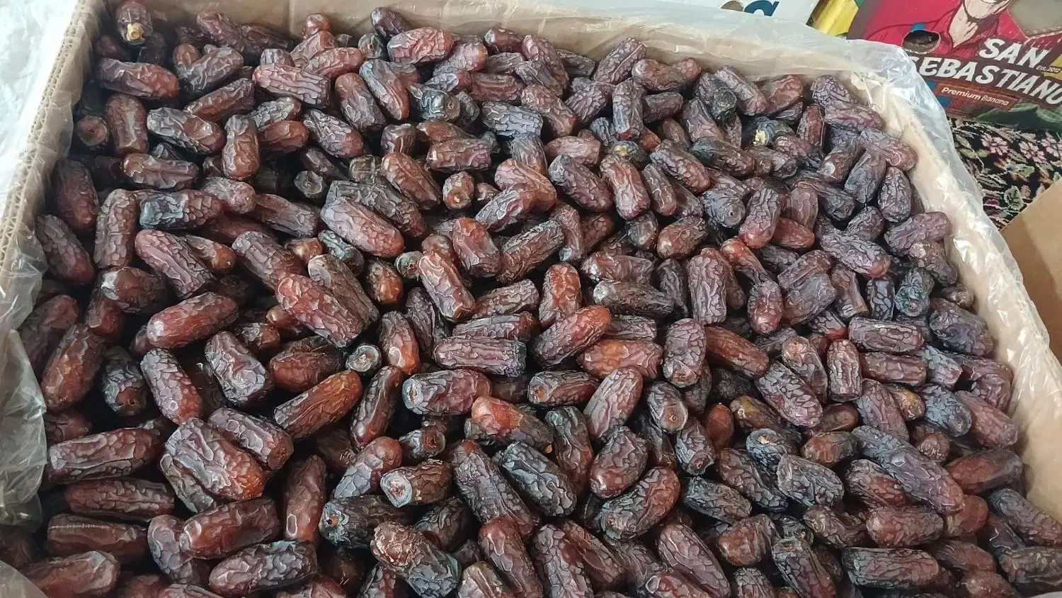 فروش خرما پیارم|عمده‌فروشی|رباط‌کریم, رباط‌کریم|دیوار