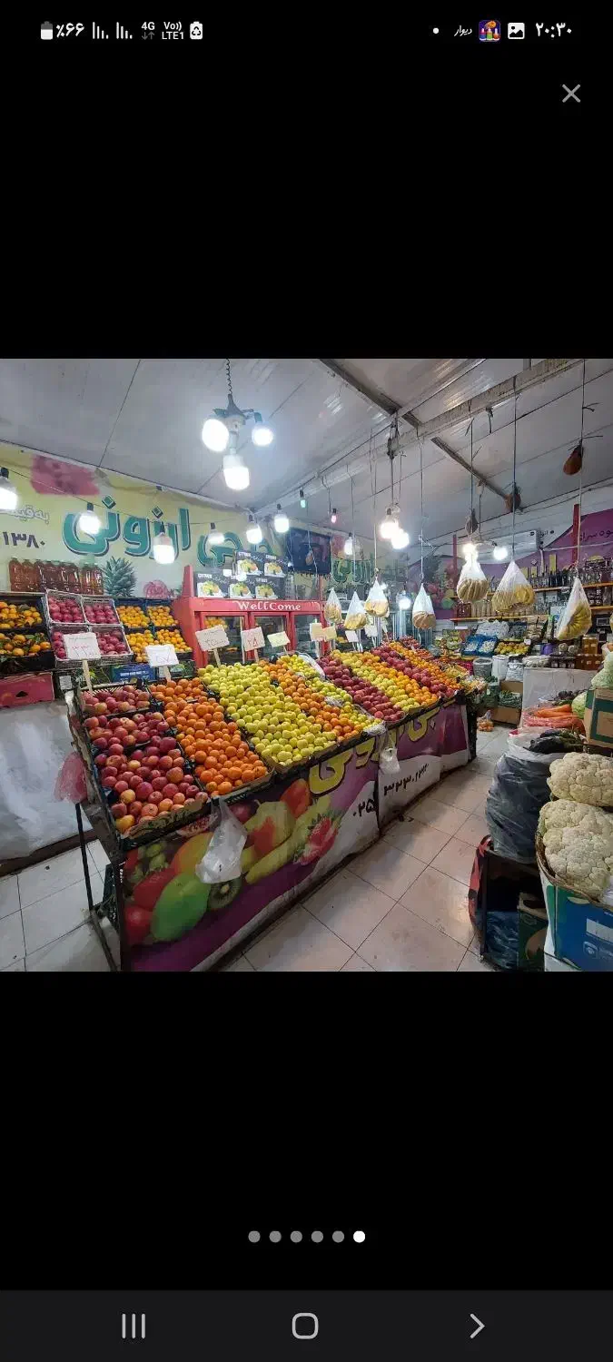 وسایل میوه فروشی|فروشگاه و مغازه|قم, پردیسان|دیوار