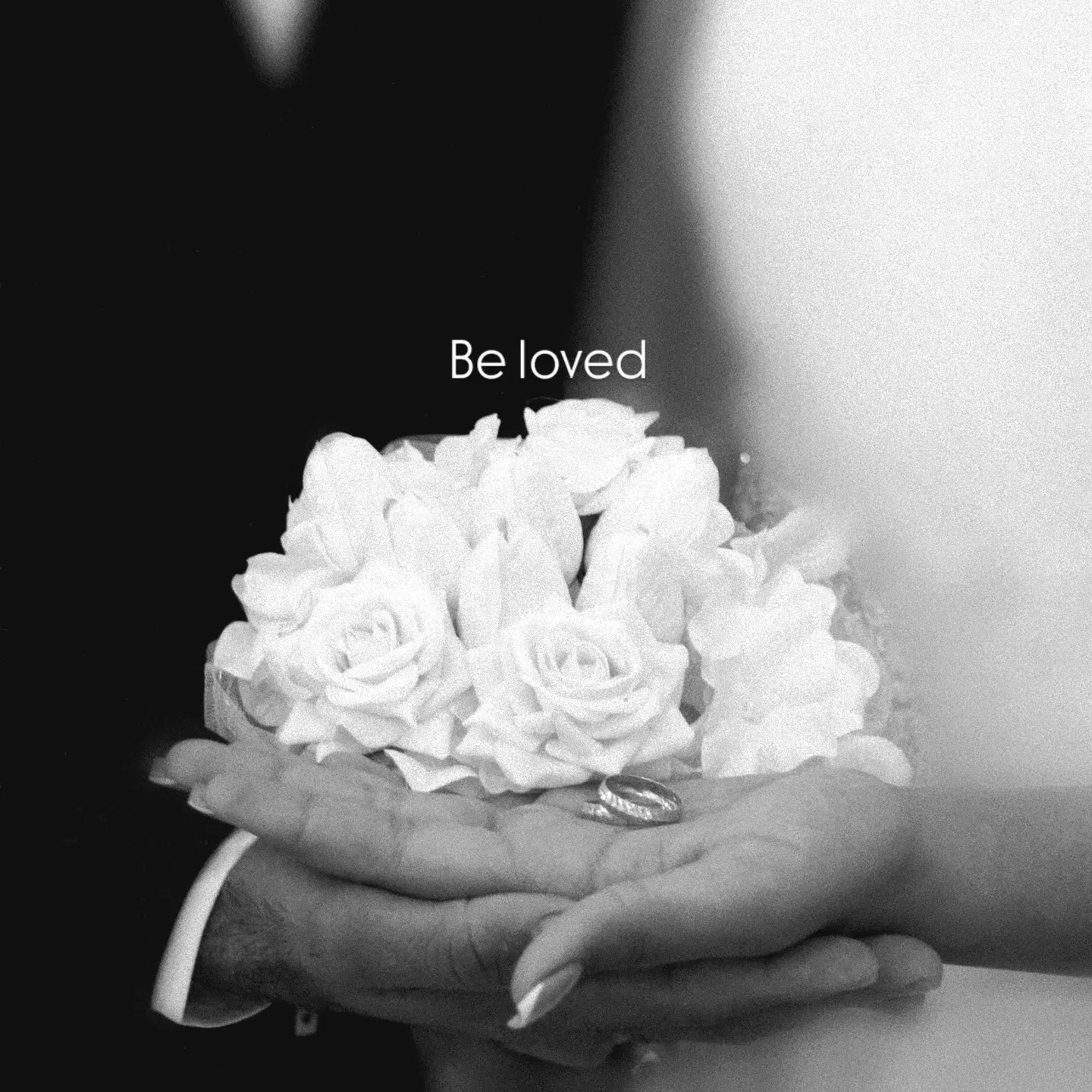 فیلمبرداری و عکاسی|خدمات پذیرایی، مراسم|گرگان, |دیوار