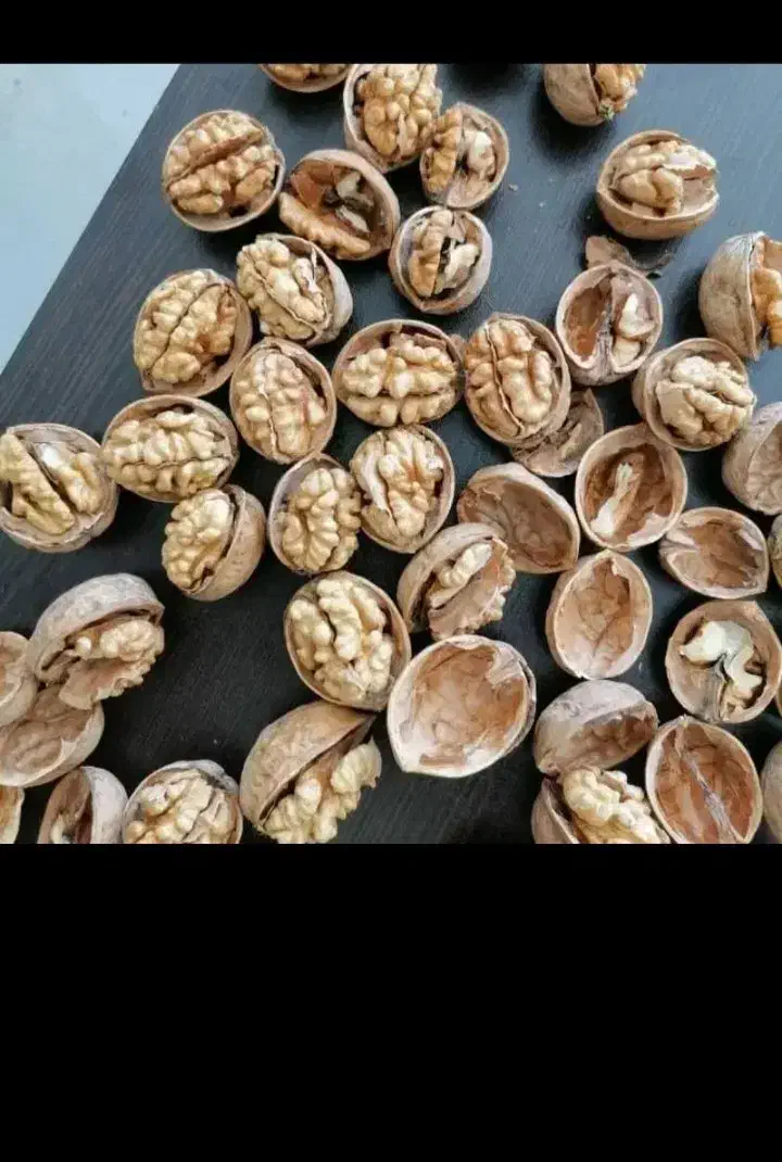 گردو خارجی 63 درصد مغز عمده|خوردنی و آشامیدنی|کوهدشت, |دیوار