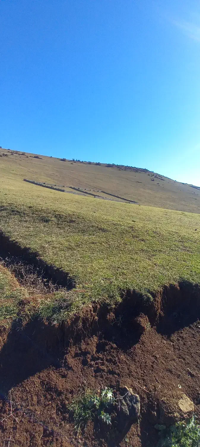 ۳۰۰ متر زمین|فروش زمین و ملک کلنگی|مرزنآباد, |دیوار