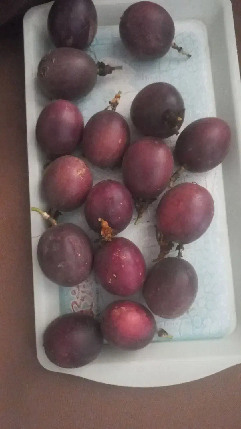 بذر پشن فروت تعداد ۲۰۰ عدد موجود هست|گل و گیاه طبیعی|اسالم, |دیوار