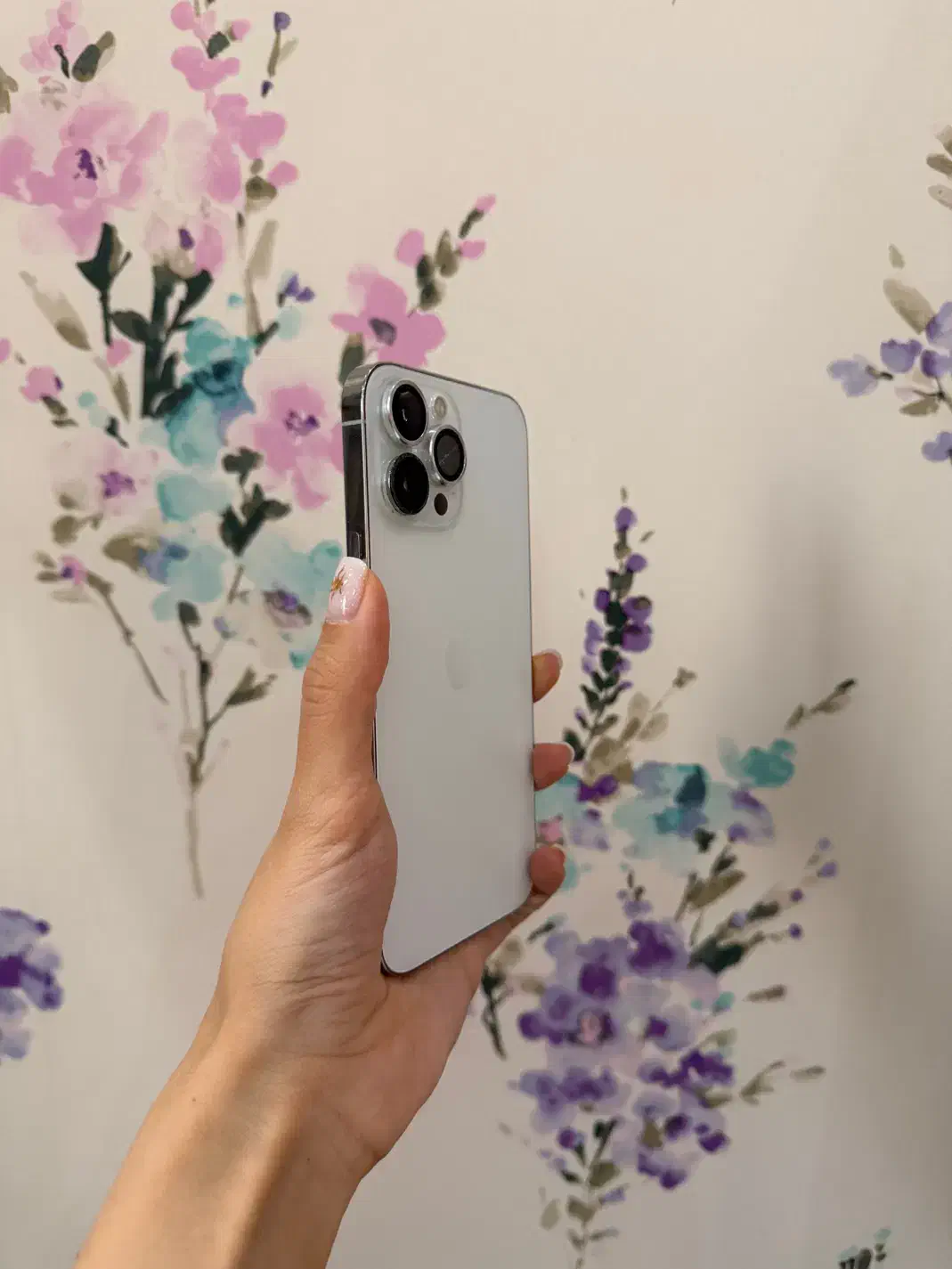 آیفون ۱۳ پرو مکس ۲۵۶|موبایل|رشت, معلم|دیوار