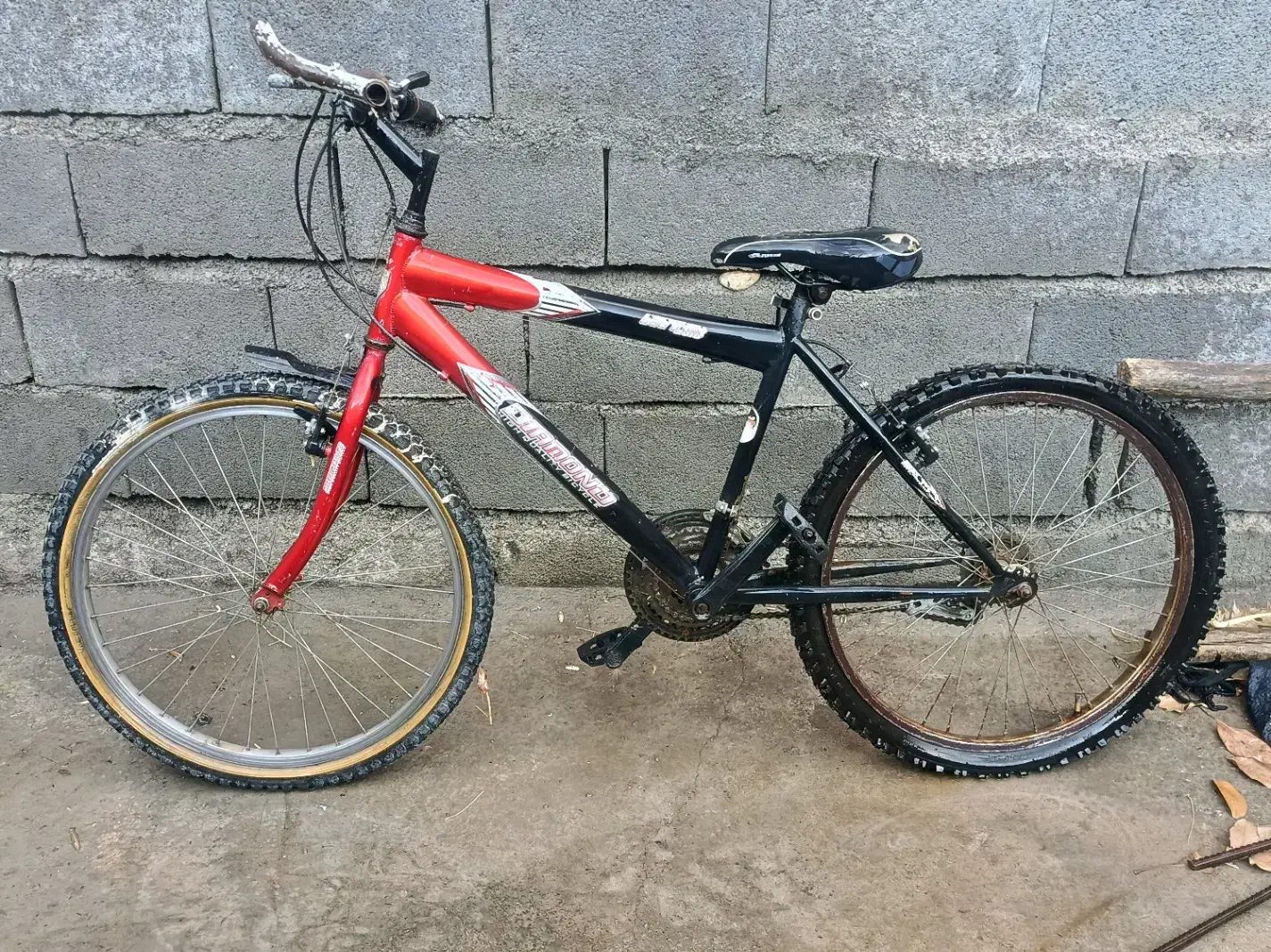 دوچرخه 24|دوچرخه، اسکیت، اسکوتر|کامیاران, |دیوار