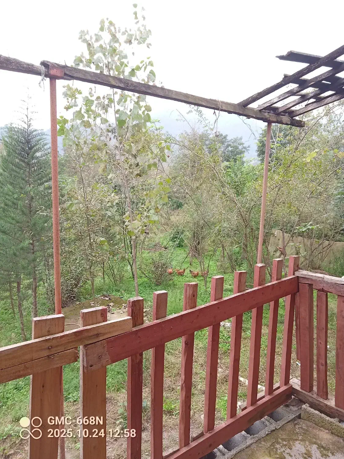 اجاره ویلا|اجارهٔ کوتاه‌مدت ویلا و باغ|ماکلوان, |دیوار