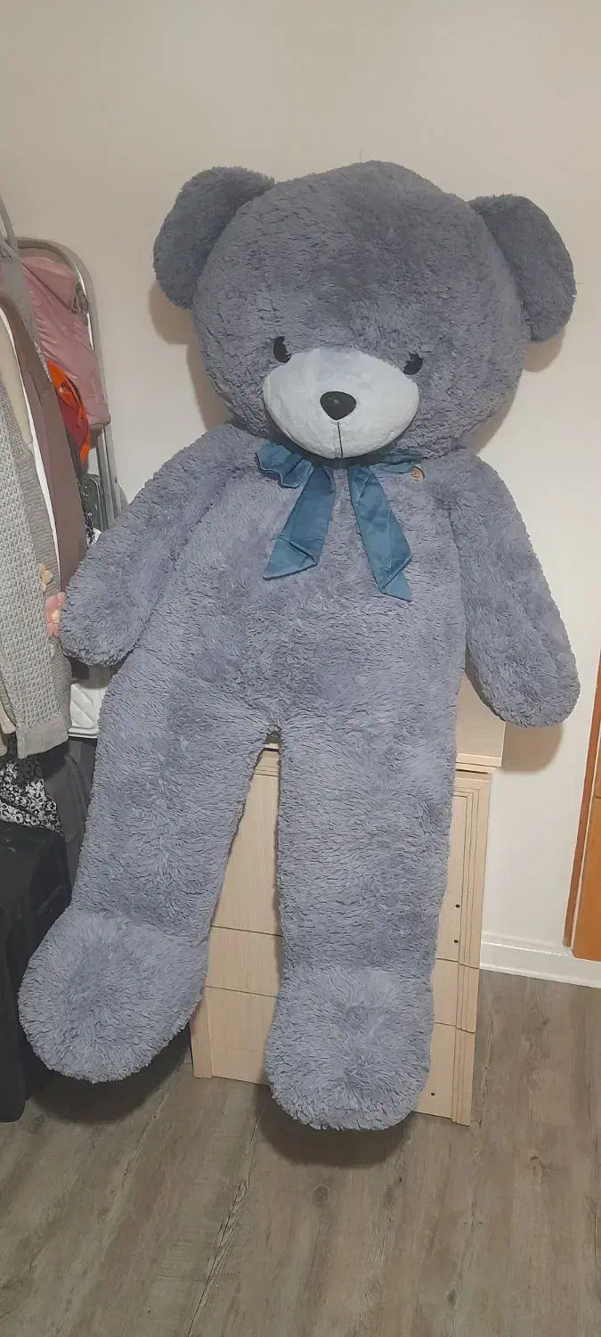 عروسک خرسی|اسباببازی|رشت, نیکمرام|دیوار