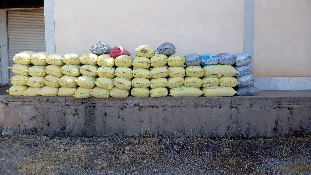 ریتق کبوتر چایی کود از کبوتر|لوازم جانبی حیوانات|بیستون, |دیوار