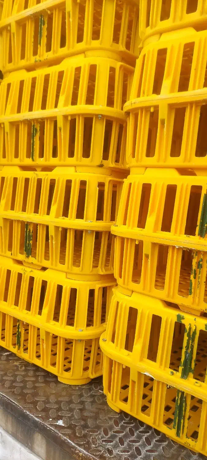 جک الوند ایسوزو|خودرو سنگین|بوکان, |دیوار