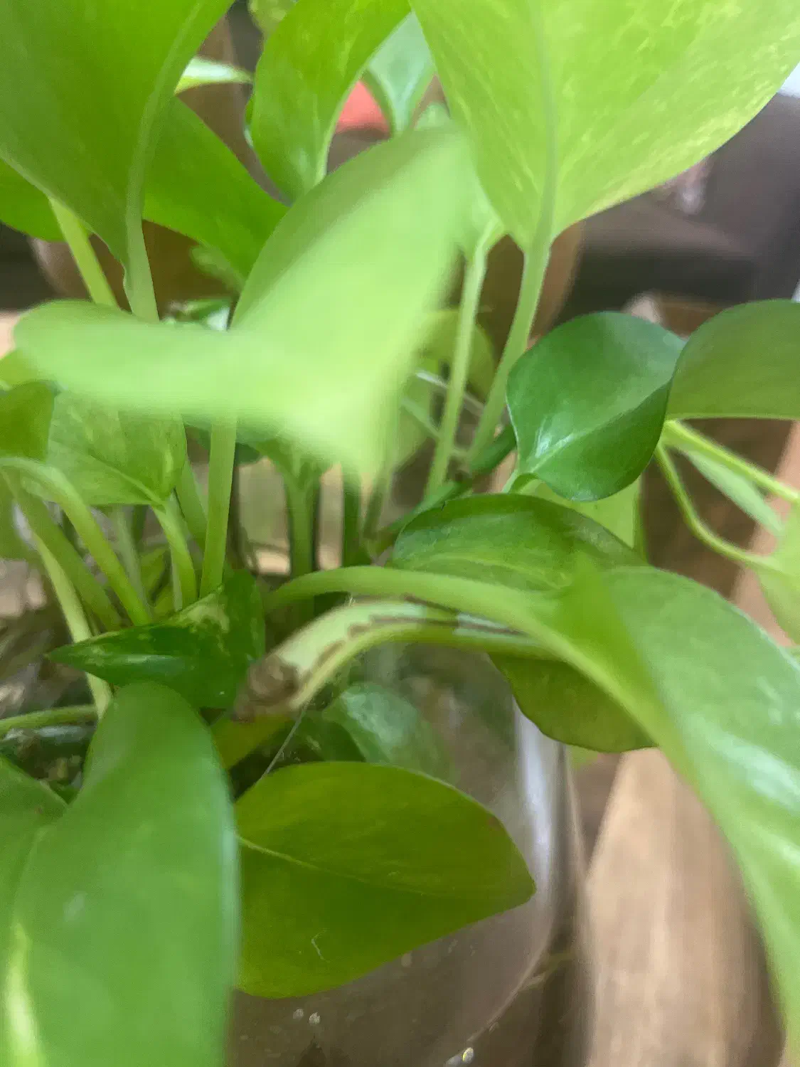 استخدام نیروی پذیرش خانم در باشگاه ورزشی بانوان|استخدام اداری و مدیریت|گرگان, |دیوار