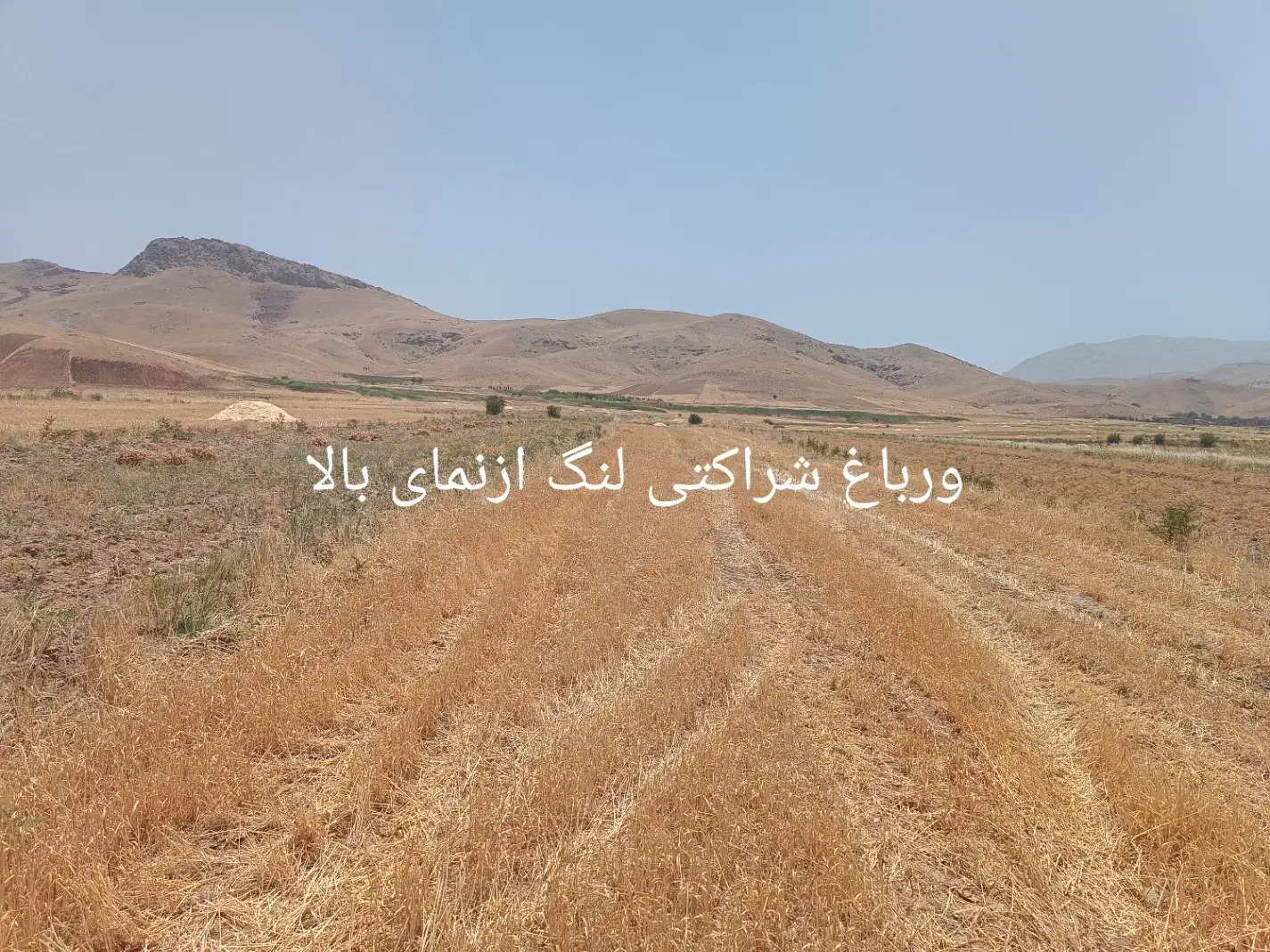 یک لنگ یافردزمین کشاورزی درعمارت شهرستان صحنه|فروش دفتر صنعتی، کشاورزی، تجاری|بیستون, |دیوار
