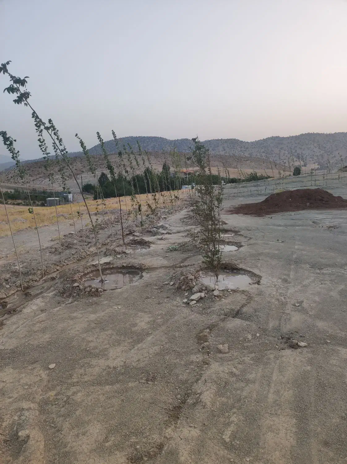 زمین خانه باغ بر جاده اصلی|فروش زمین و ملک کلنگی|ایلام, |دیوار