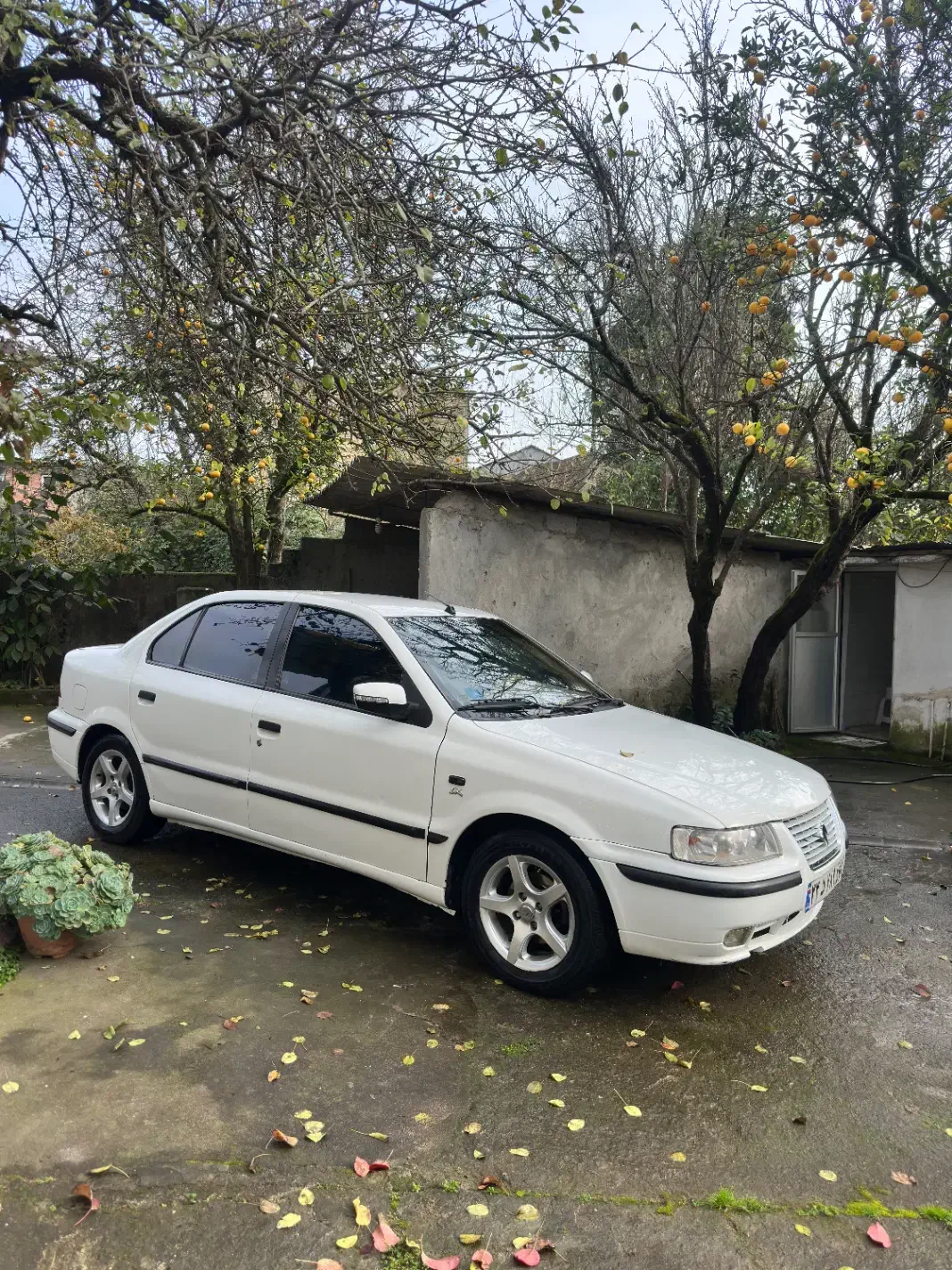 سمند lx دوگانه بیرنگ|خودرو سواری و وانت|آستارا, |دیوار