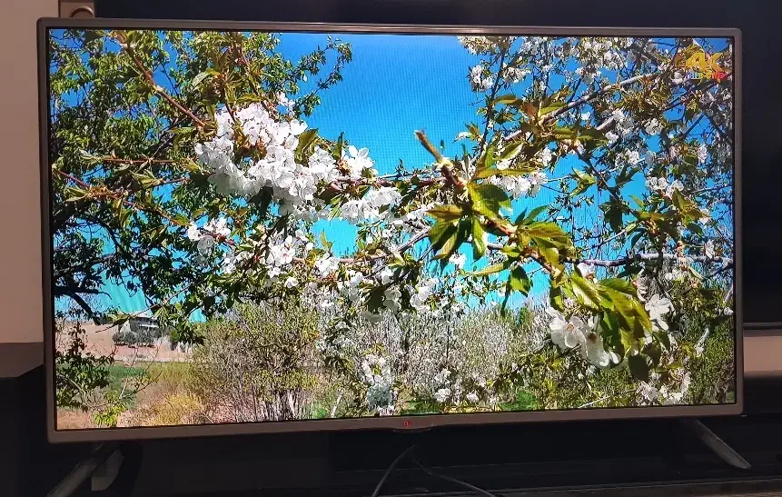 تلویزیون رسیوردار الجی اصل کره سایز42|تلویزیون و پروژکتور|ورامین, ورامین|دیوار