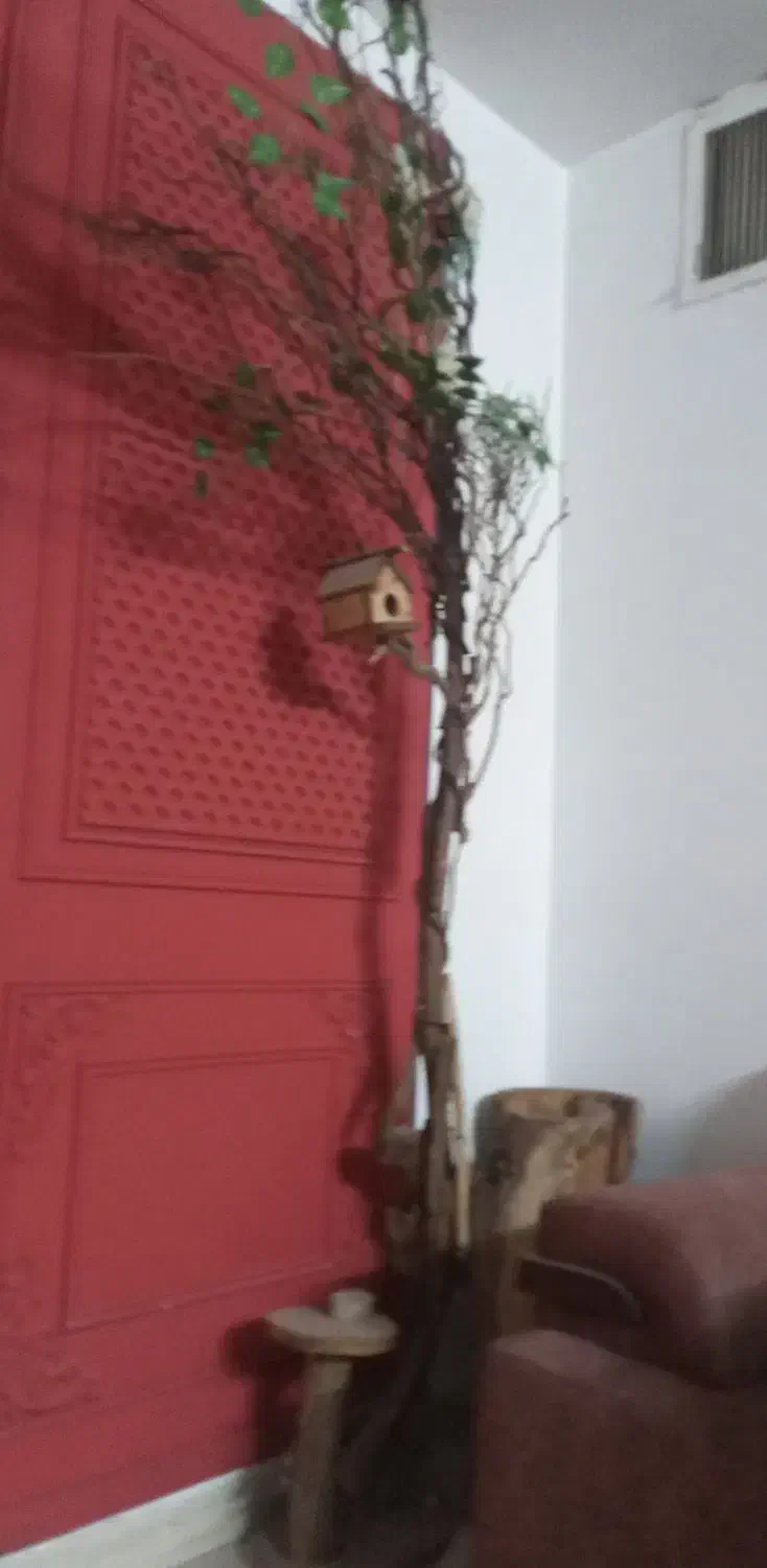 جارو برقی|جاروبرقی، جارو شارژی، بخارشو|ری, دیلمان|دیوار