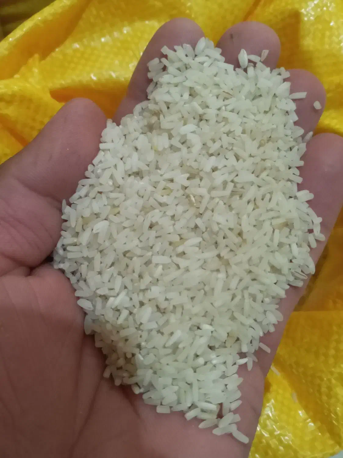 برنج ایرانی بشرط پخت|خوردنی و آشامیدنی|سبزوار, کهنه آب|دیوار
