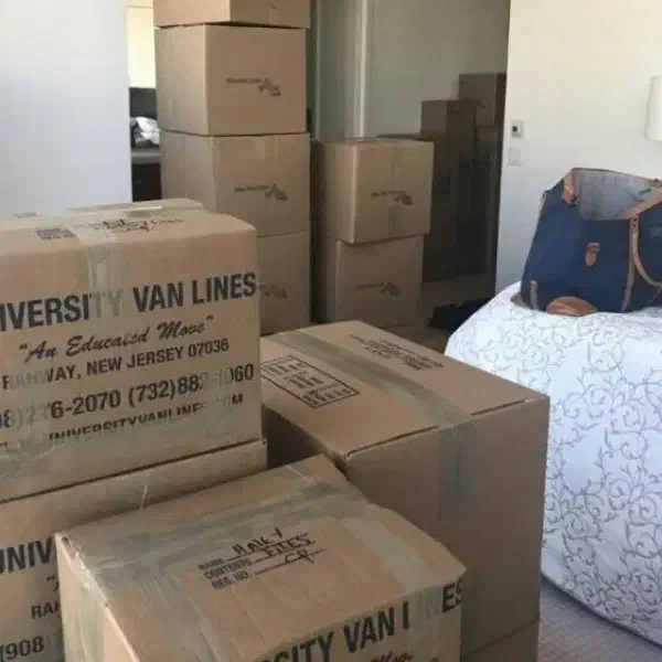 خدمات اثاث کشی  زرین بار امل|خدمات حمل و نقل|آمل, |دیوار