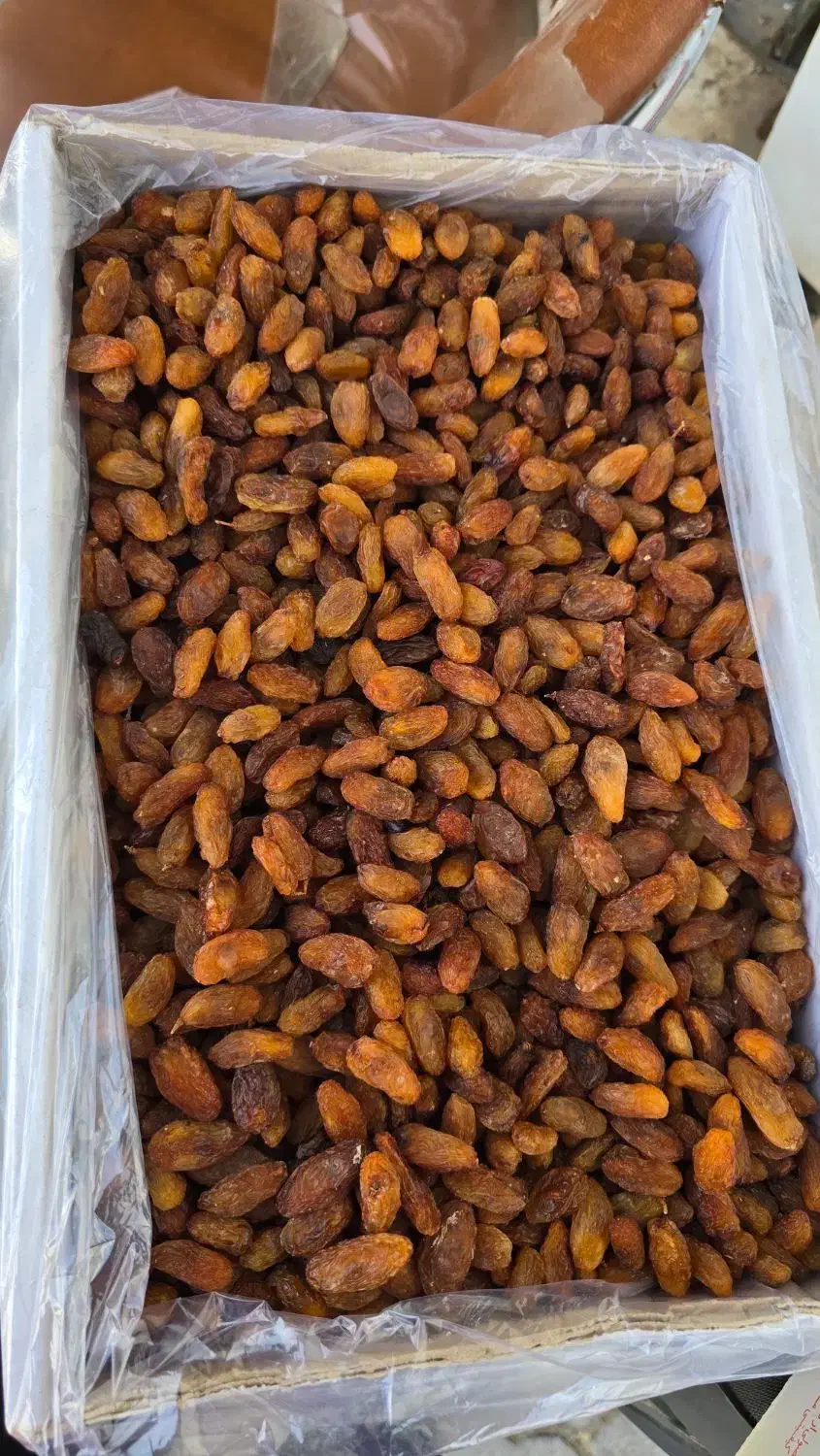 خشکبار انواع کشمش|عمدهفروشی|خلیل آباد, |دیوار