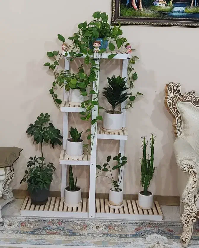 استند گل و گلدان|کتابخانه، شلف، قفسه‌های دیواری|جم, |دیوار