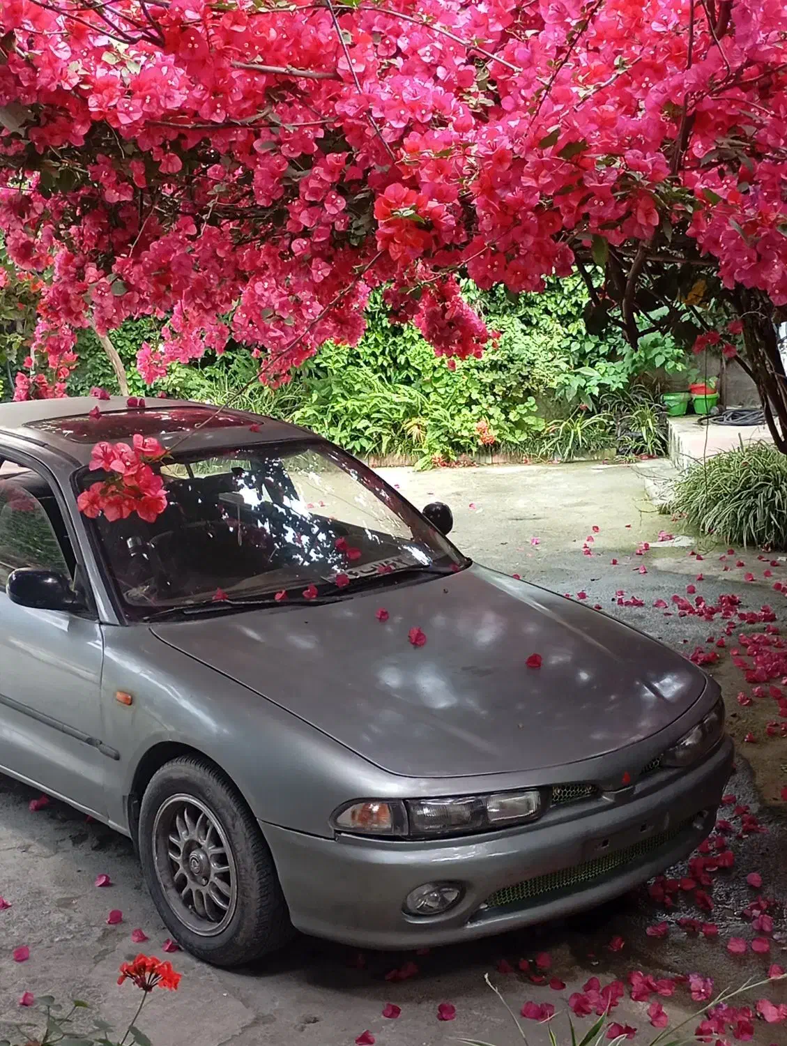 گالانت عینکی|خودرو سواری و وانت|پرند, فاز ۰|دیوار