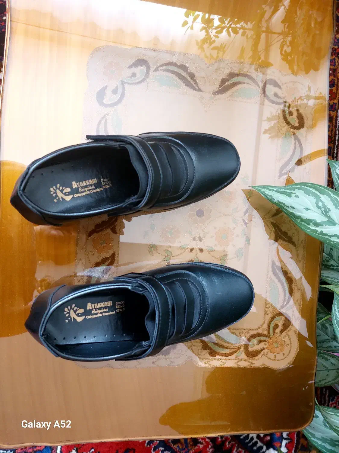 کفش|کیف، کفش، کمربند|سهند, |دیوار