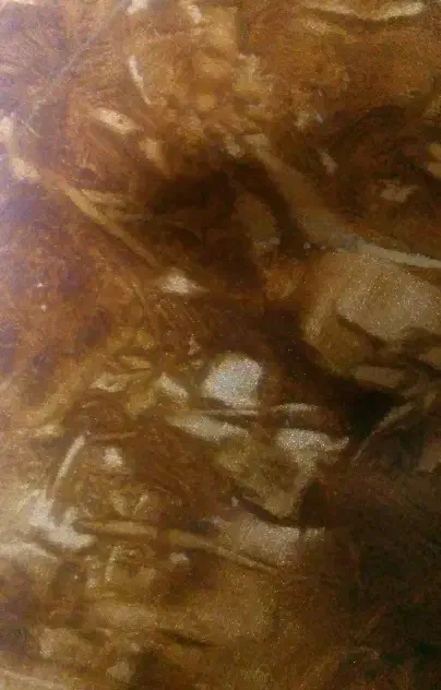 زمین و کار از من سرمایه از شما|فعالیت داوطلبانه|ورزقان, |دیوار