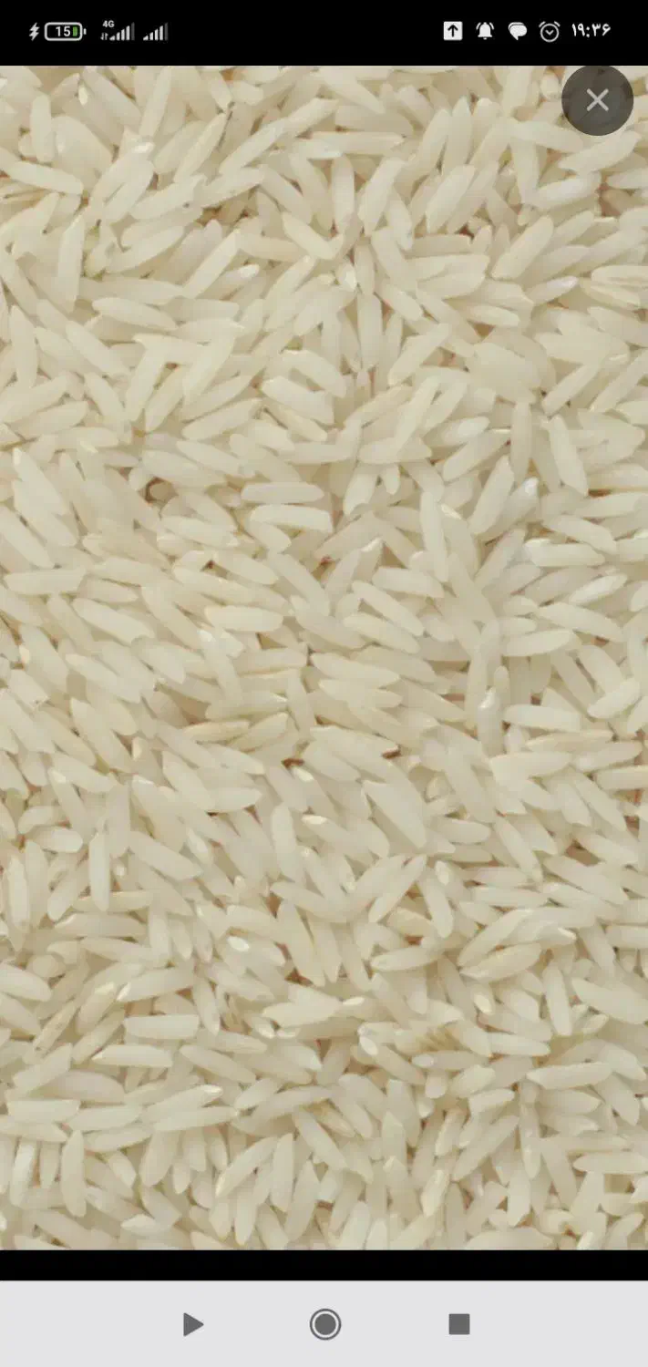 برنج هاشمی|خوردنی و آشامیدنی|کلاچای, |دیوار