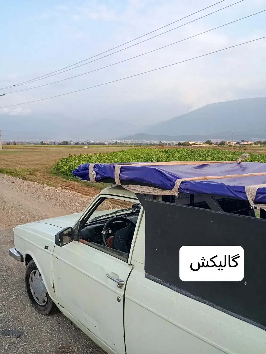پیکان وانت تلفنی اسنپ وانت بارکرایه وانت پیکان بار|خدمات حمل و نقل|مشهد, آیت الله کاشانی|دیوار