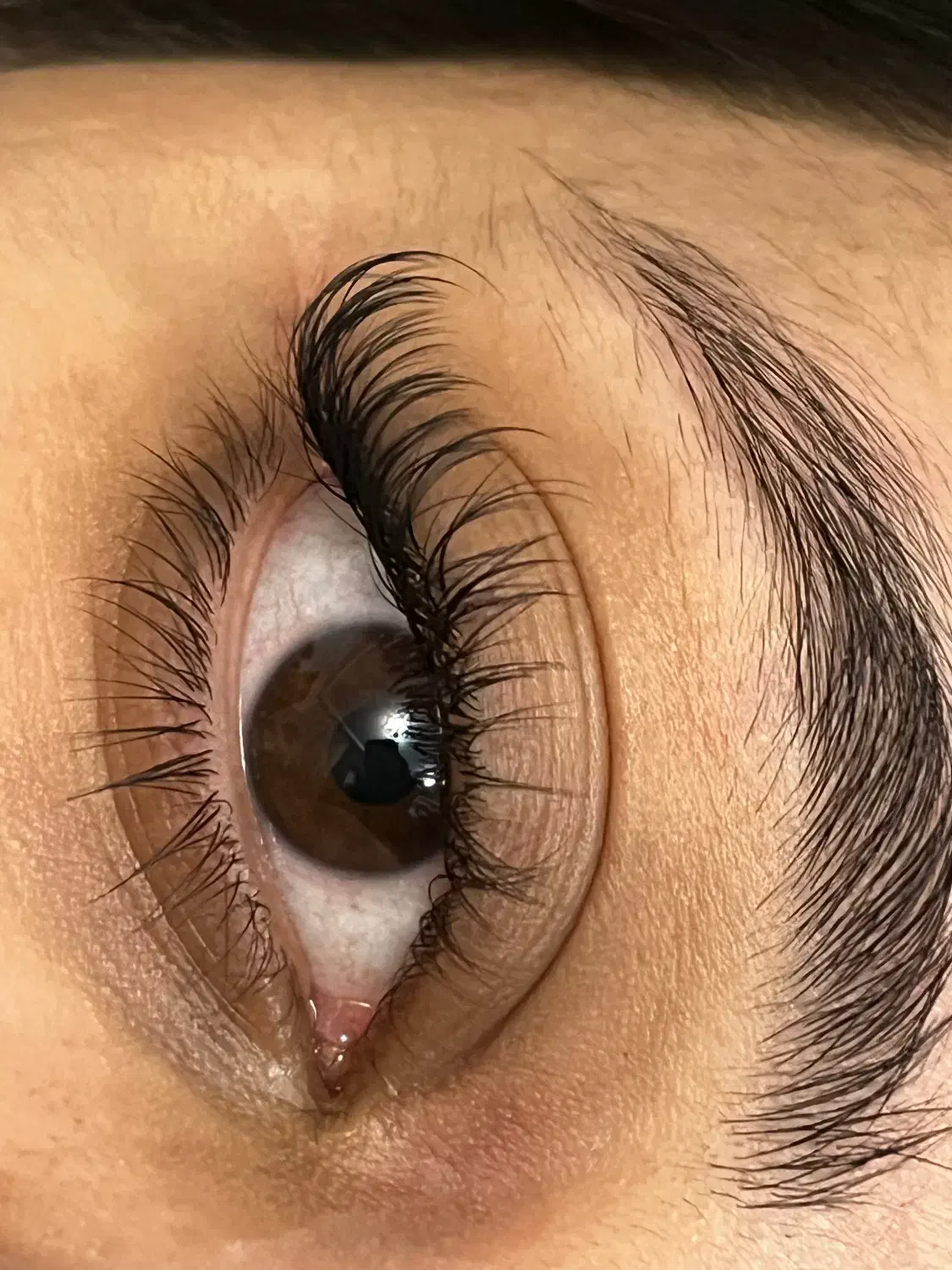 مدل اکستنشن مژه اصفهان|خدمات آرایشگری و زیبایی|اصفهان, لیمجیر|دیوار