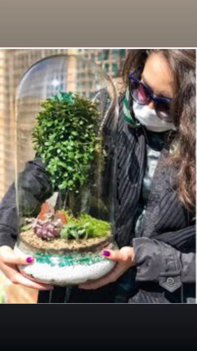 تراریوم ،کادو،هدیه.مناسبت.بنسای|گل و گیاه طبیعی|تهران, ائمه اطهار|دیوار