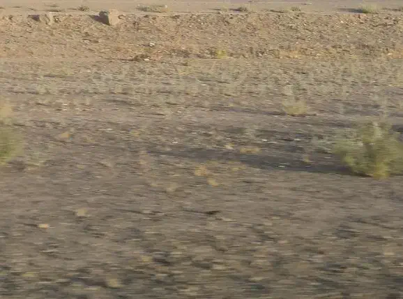 اجاره منفی یک یا زیرزمین ۱۲۰ متری|اجارهٔ خانه و ویلا|تهران, افسریه شمالی|دیوار