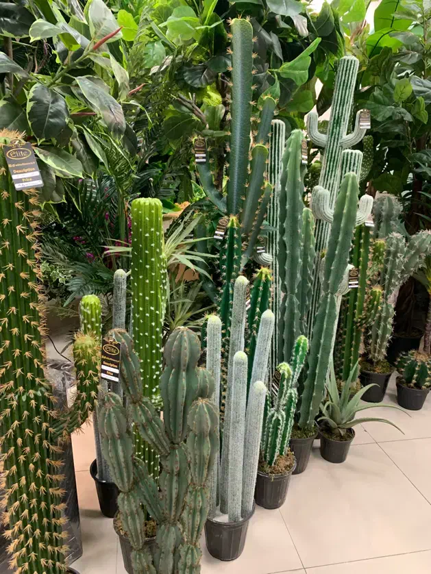 درخت مگنولیا و انواع درختان|گل مصنوعی|ری, دولت‌آباد|دیوار