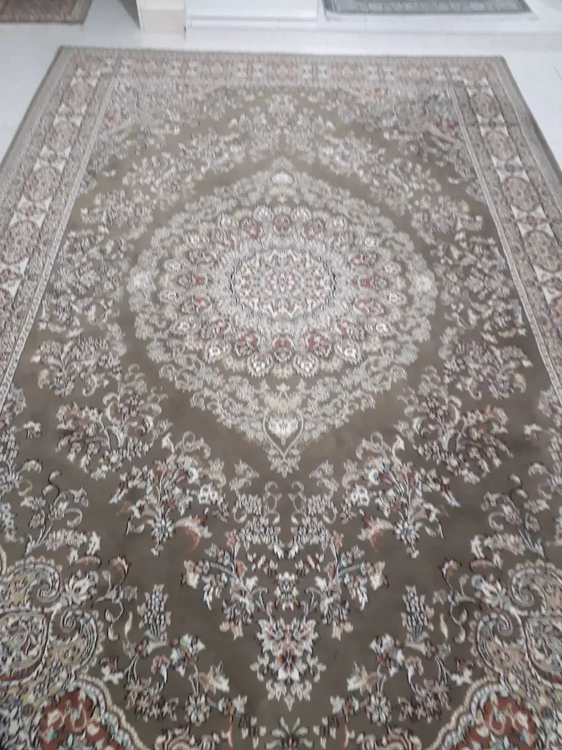 فرش ۶ متری و قالی ۴ متری|فرش|تهران, زرکش|دیوار