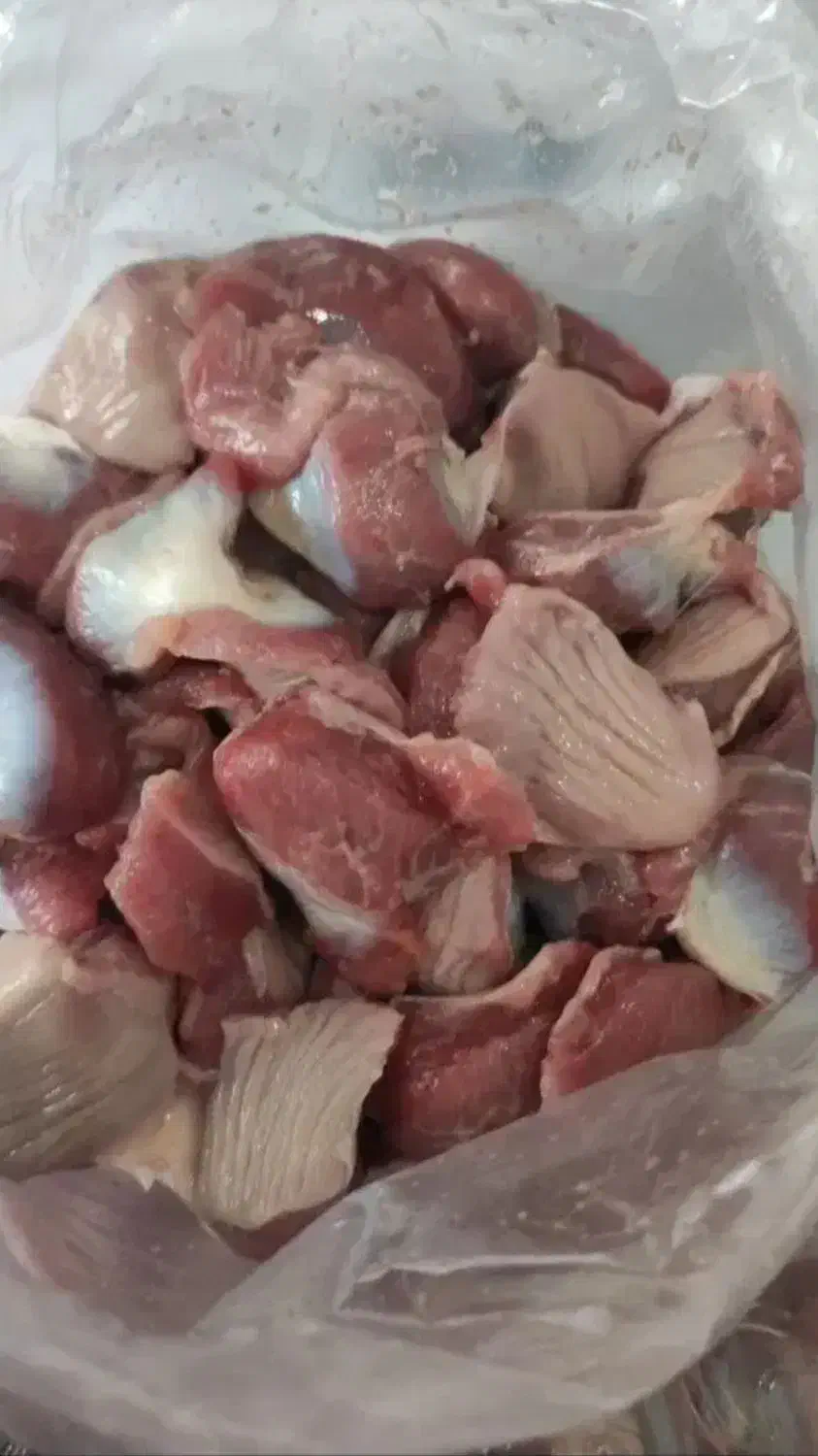 سنگدان تازه و منجمد شمش شده|خوردنی و آشامیدنی|هشتگرد, شهرک ولیعصر (مصلی)|دیوار