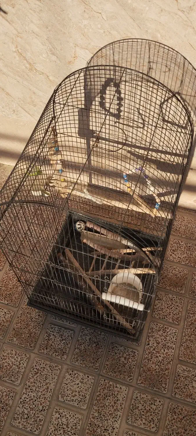 قفس پرنده|لوازم جانبی حیوانات|باغستان, |دیوار