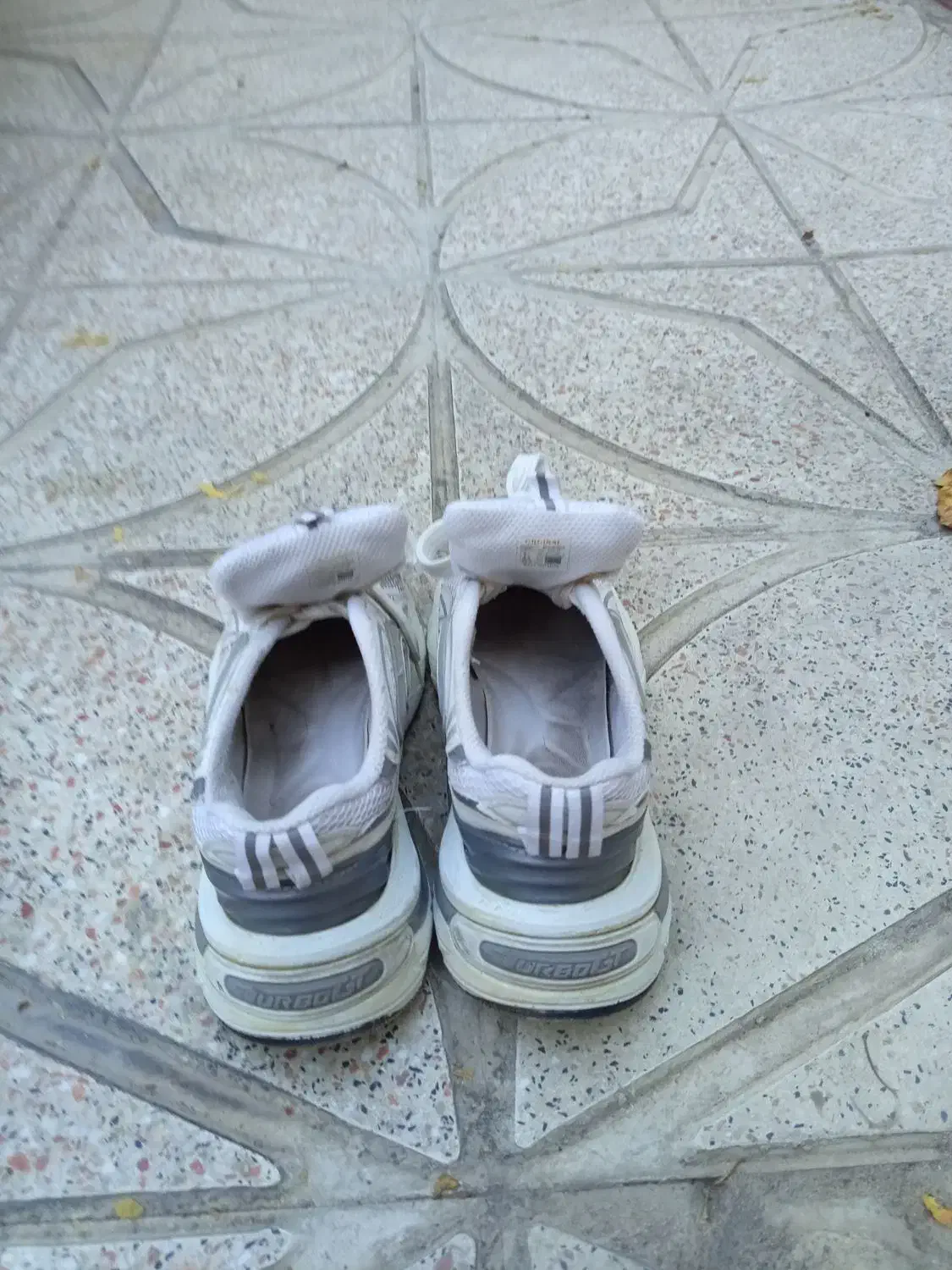 کفش|کیف، کفش، کمربند|سنندج, |دیوار