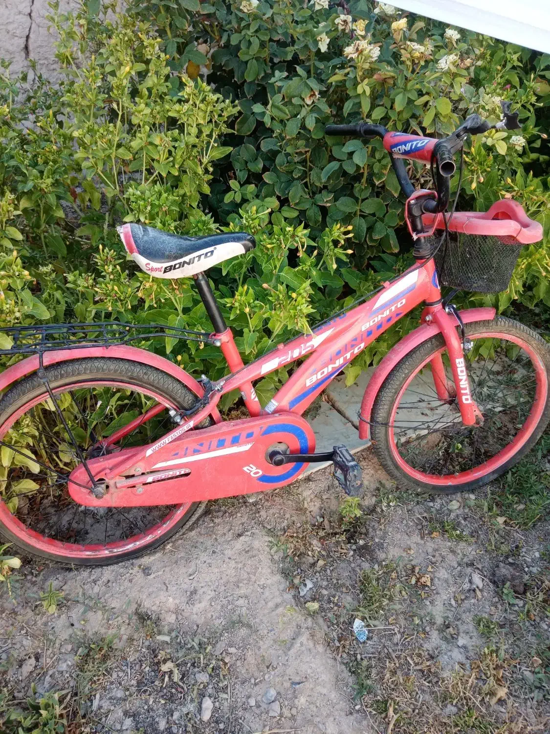 فروش دوچرخه|دوچرخه، اسکیت، اسکوتر|آباده, |دیوار