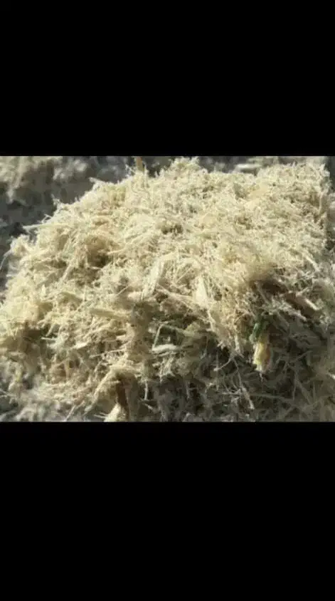 تفاله نیشکر چین امسال|لوازم جانبی حیوانات|اهواز, فولاد|دیوار