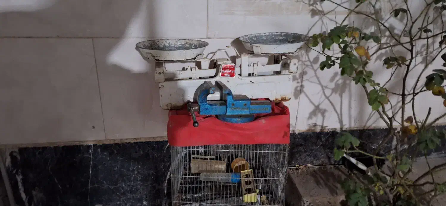 ترازو|کلکسیون اشیاء عتیقه|بیرجند, |دیوار