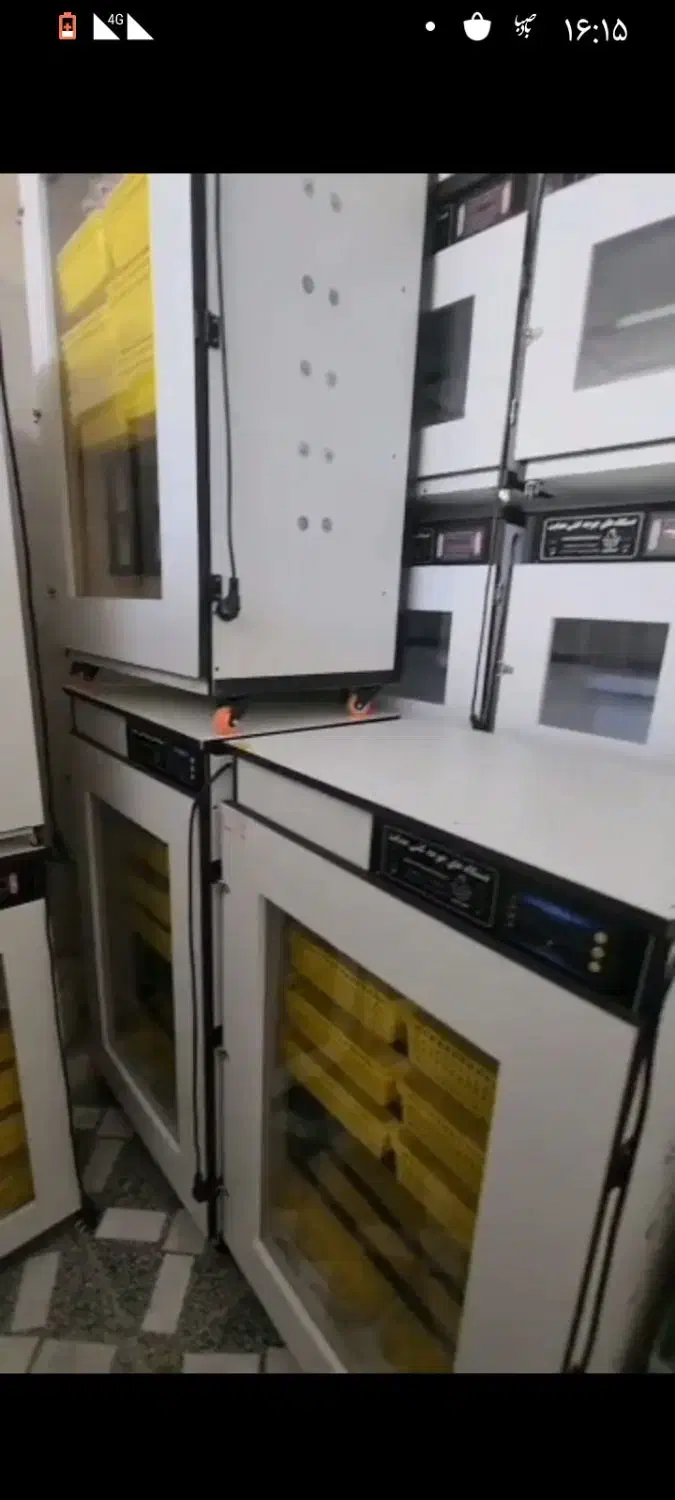 دستگاه جوجه کشی هدایت|لوازم جانبی حیوانات|رامشیر, |دیوار