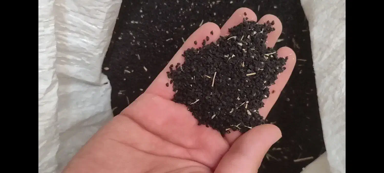 تره (بذر) طبس|گل و گیاه طبیعی|مشهد, ابرغن|دیوار